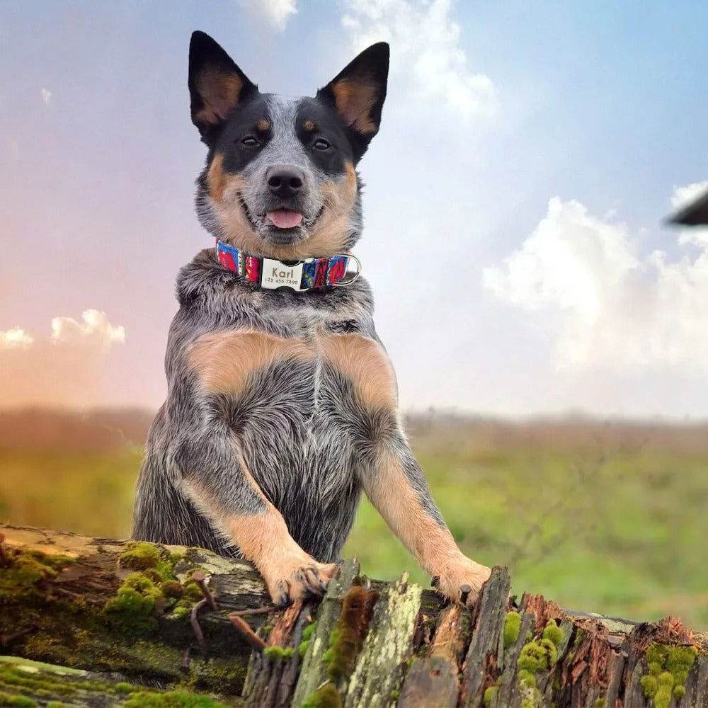 Hundehalsband personalisiert Nylon Gravur Name TRENDMOPS TRENDARINO - Trendmops