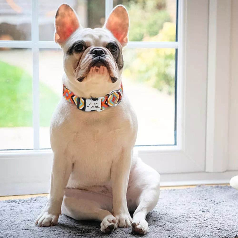 Hundehalsband personalisiert Nylon Gravur Name TRENDMOPS TRENDARINO - Trendmops