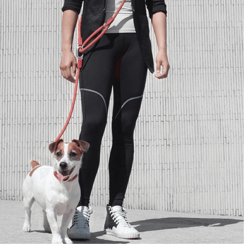 Freihandleine Hundeleine Nylon freihändig TRENDMOPS GASSIWALKER - Trendmops