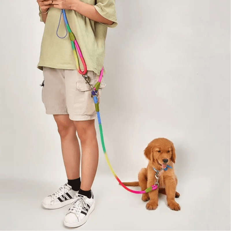 Freihandleine Hundeleine Nylon freihändig TRENDMOPS GASSIWALKER - Trendmops