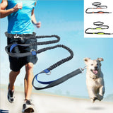 Hundeleine Laufleine elastisches freihändig Joggen TRENDMOPS RUNNINGDOG - Trendmops