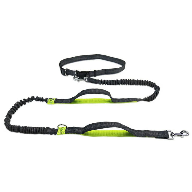 Hundeleine Laufleine elastisches freihändig Joggen TRENDMOPS RUNNINGDOG - Trendmops