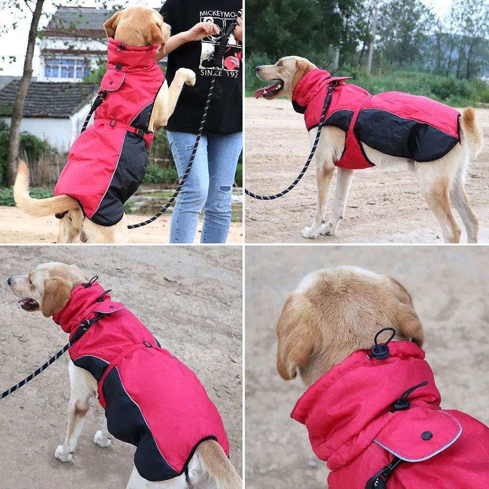 Hundemantel große Hunde warm wasserdicht winddicht TRENDMOPS MINODA - Trendmops
