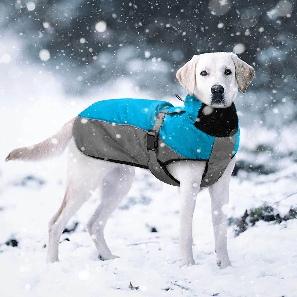 Hundemantel große Hunde warm wasserdicht winddicht TRENDMOPS MINODA - Trendmops
