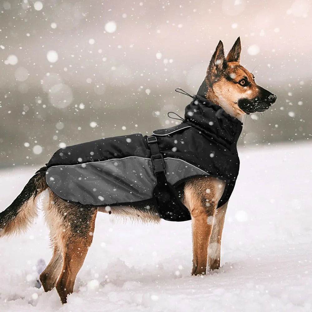 Hundemantel große Hunde warm wasserdicht winddicht TRENDMOPS MINODA - Trendmops