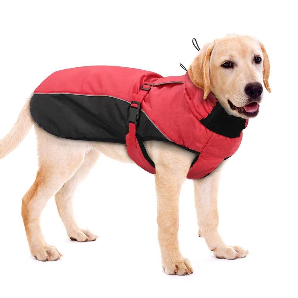 Hundemantel große Hunde warm wasserdicht winddicht TRENDMOPS MINODA - Trendmops