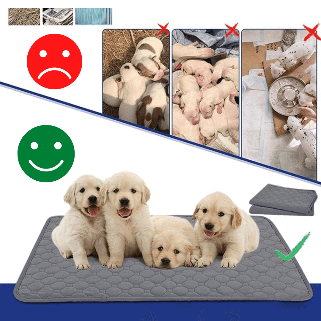 Urinmatte Hundematte Inkontinenz Urin Welpen TRENDMOPS COMFIADOG - Trendmops