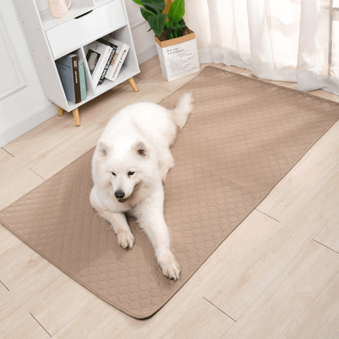 Urinmatte Hundematte Inkontinenz Urin Welpen TRENDMOPS COMFIADOG - Trendmops