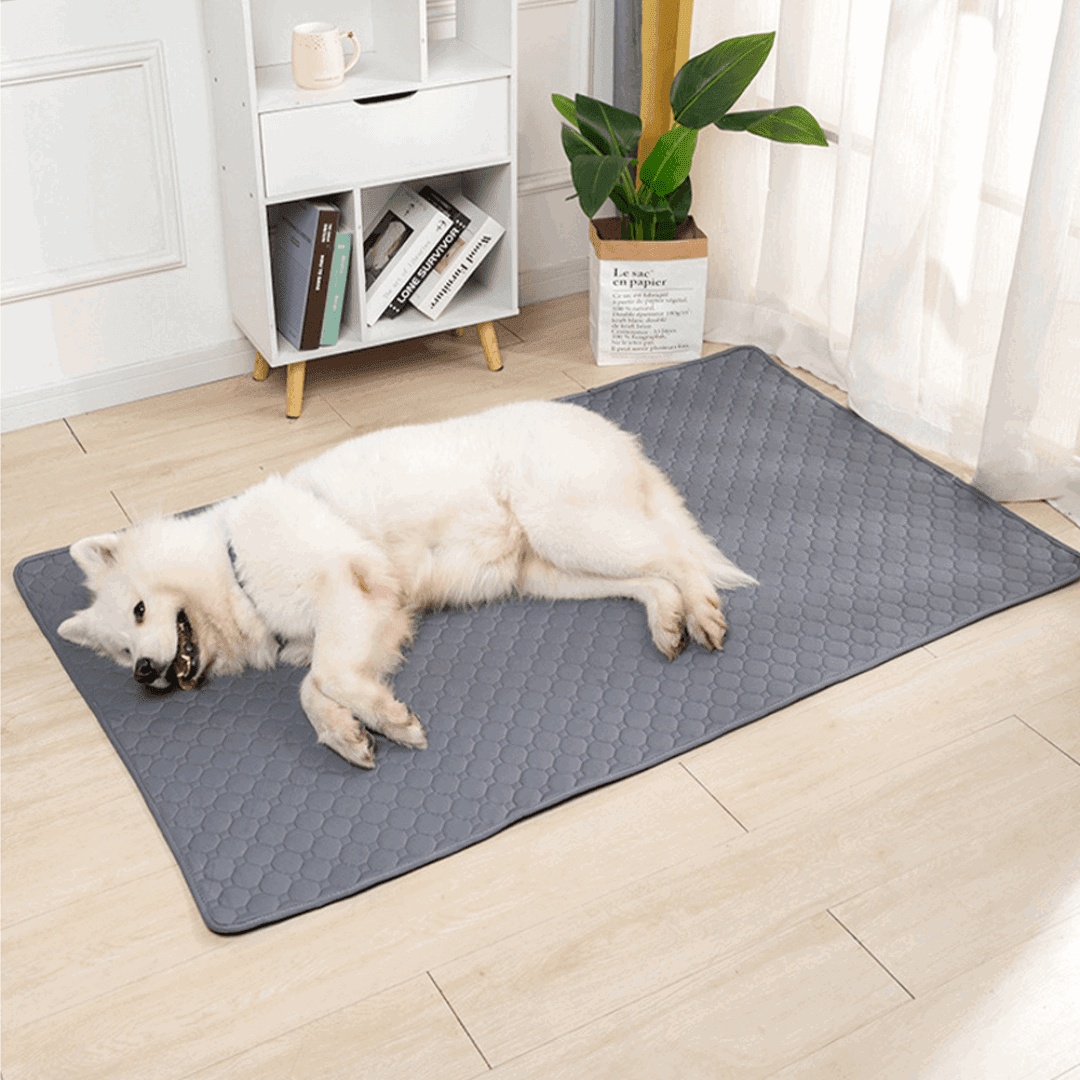 Urinmatte Hundematte Inkontinenz Urin Welpen TRENDMOPS COMFIADOG - Trendmops