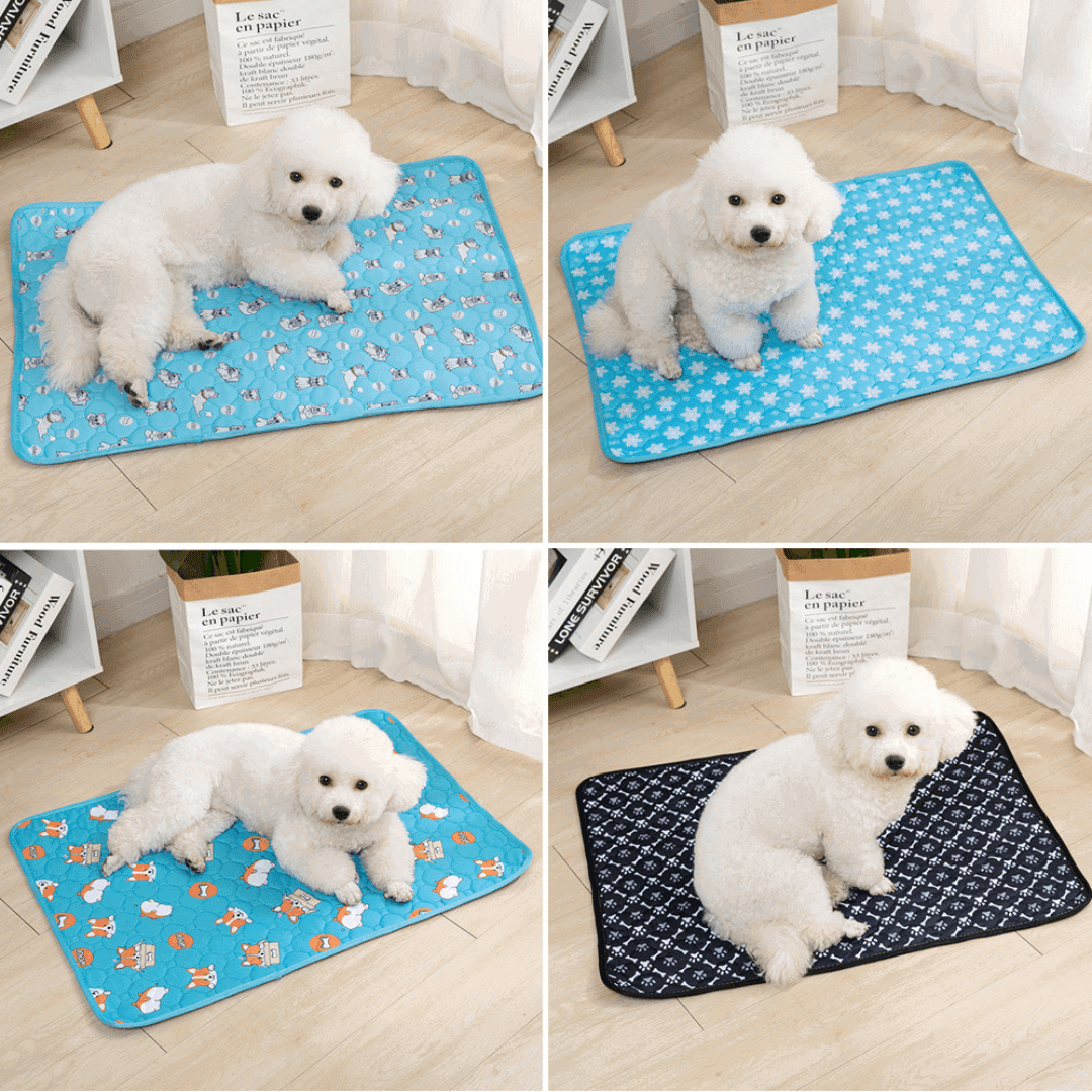 Urinmatte Hundematte Inkontinenz Urin Welpen TRENDMOPS COMFIADOG - Trendmops