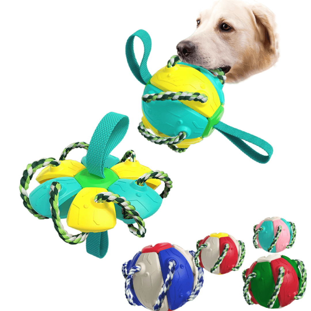Hundespielzeug 2in1 Frisbee Ball robust TRENDMOPS FUNNYFRISBALL - Trendmops