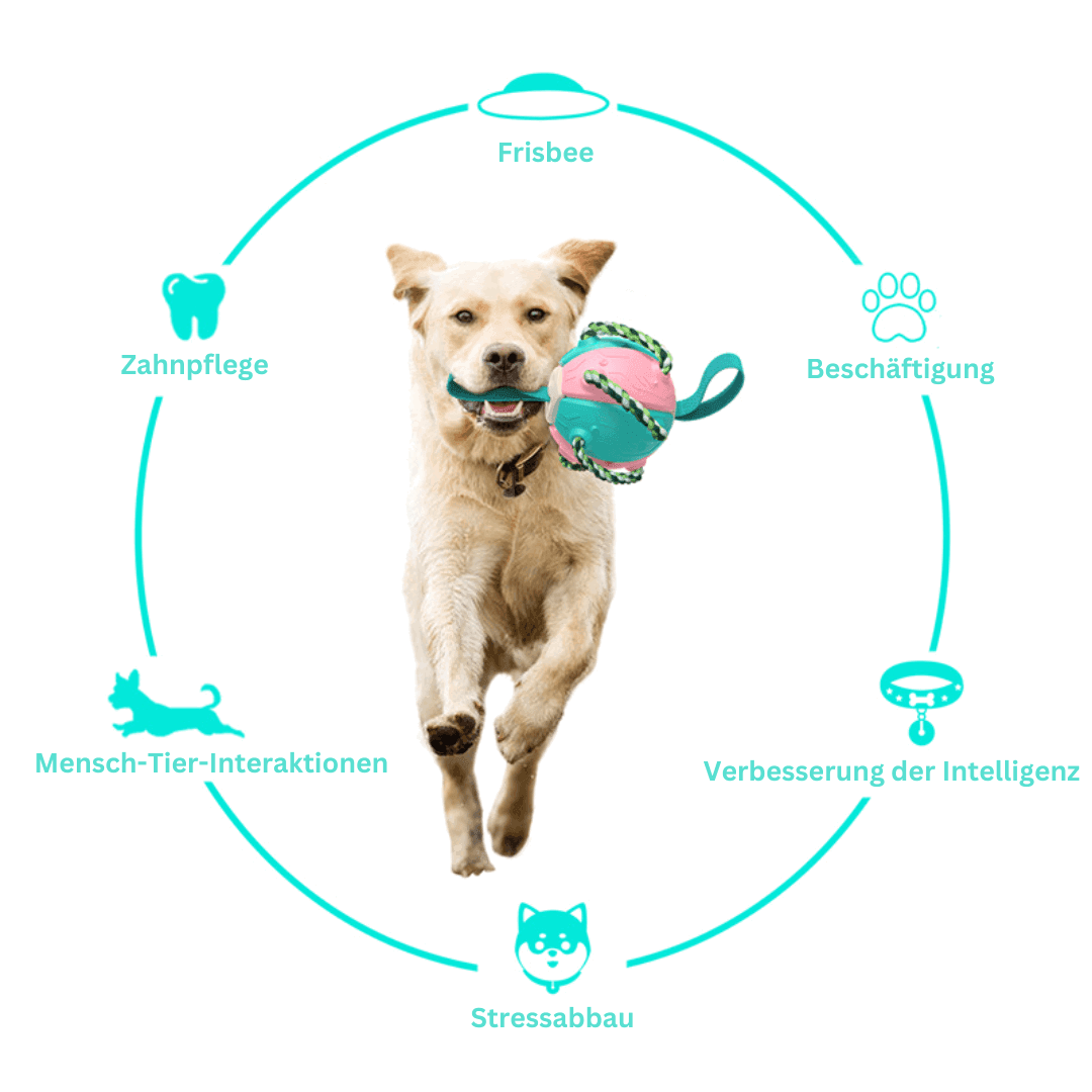 Hundespielzeug 2in1 Frisbee Ball robust TRENDMOPS FUNNYFRISBALL - Trendmops