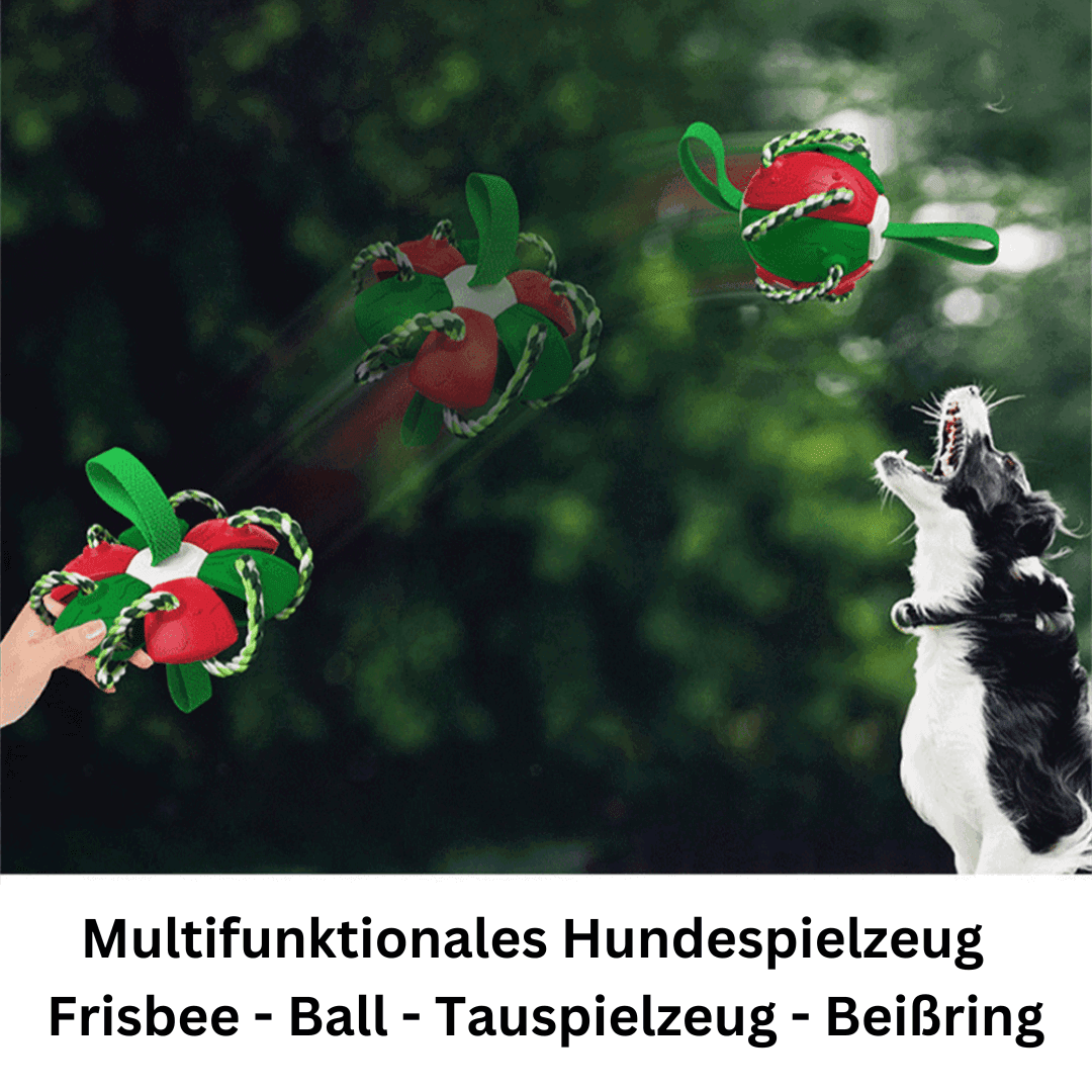 Hundespielzeug 2in1 Frisbee Ball robust TRENDMOPS FUNNYFRISBALL - Trendmops