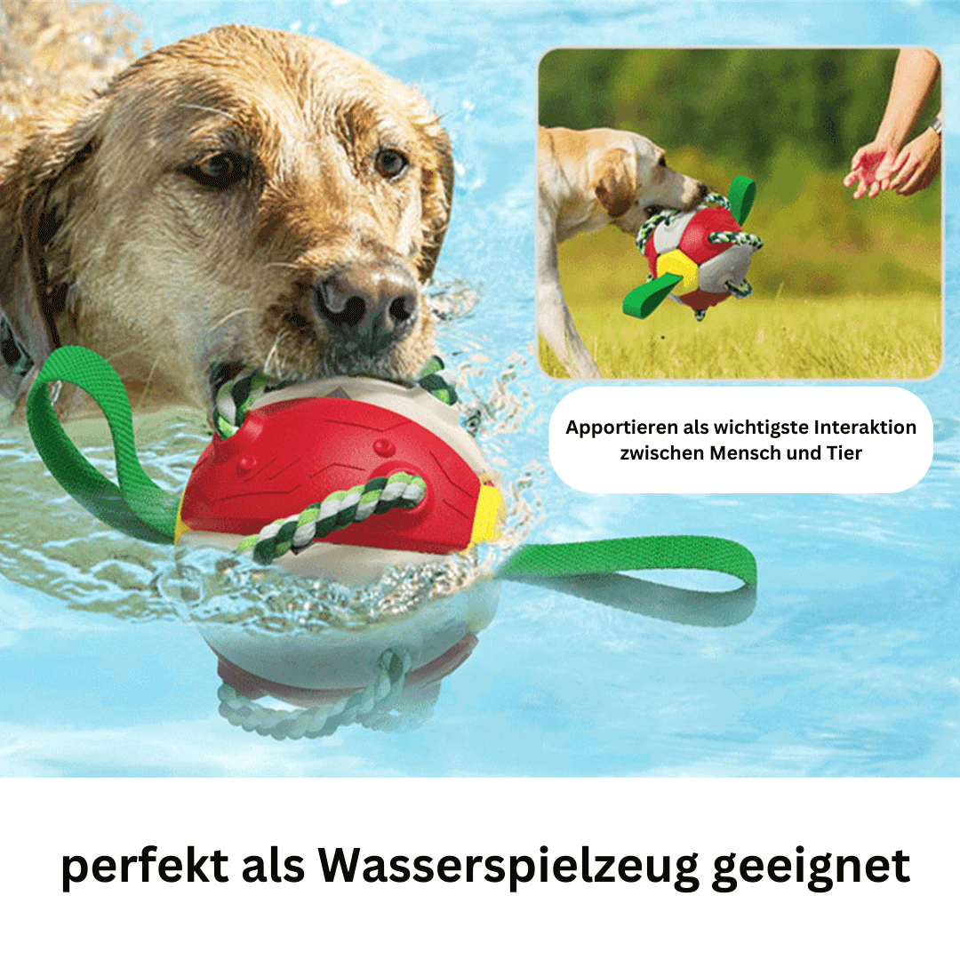 Hundespielzeug 2in1 Frisbee Ball robust TRENDMOPS FUNNYFRISBALL - Trendmops