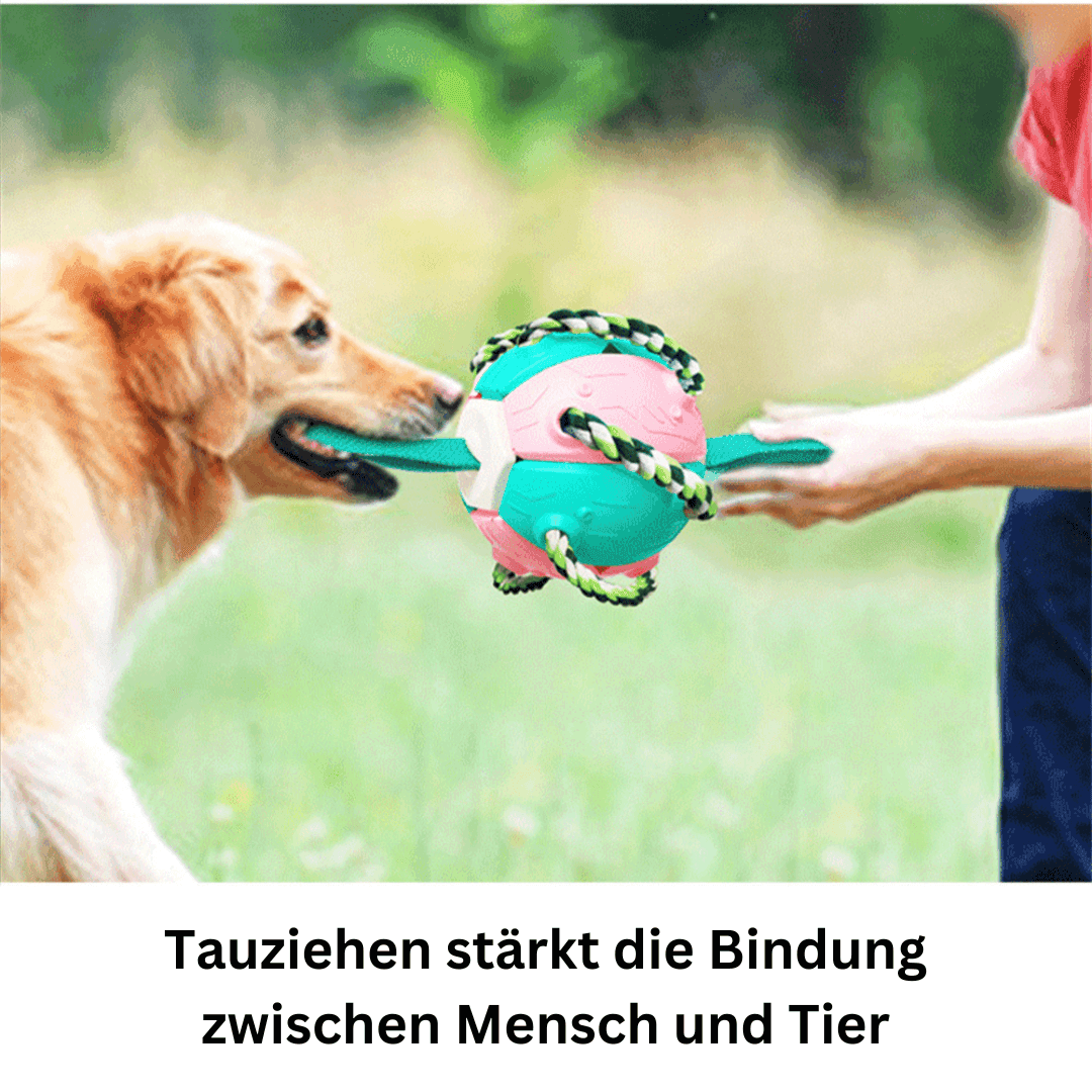 Hundespielzeug 2in1 Frisbee Ball robust TRENDMOPS FUNNYFRISBALL - Trendmops