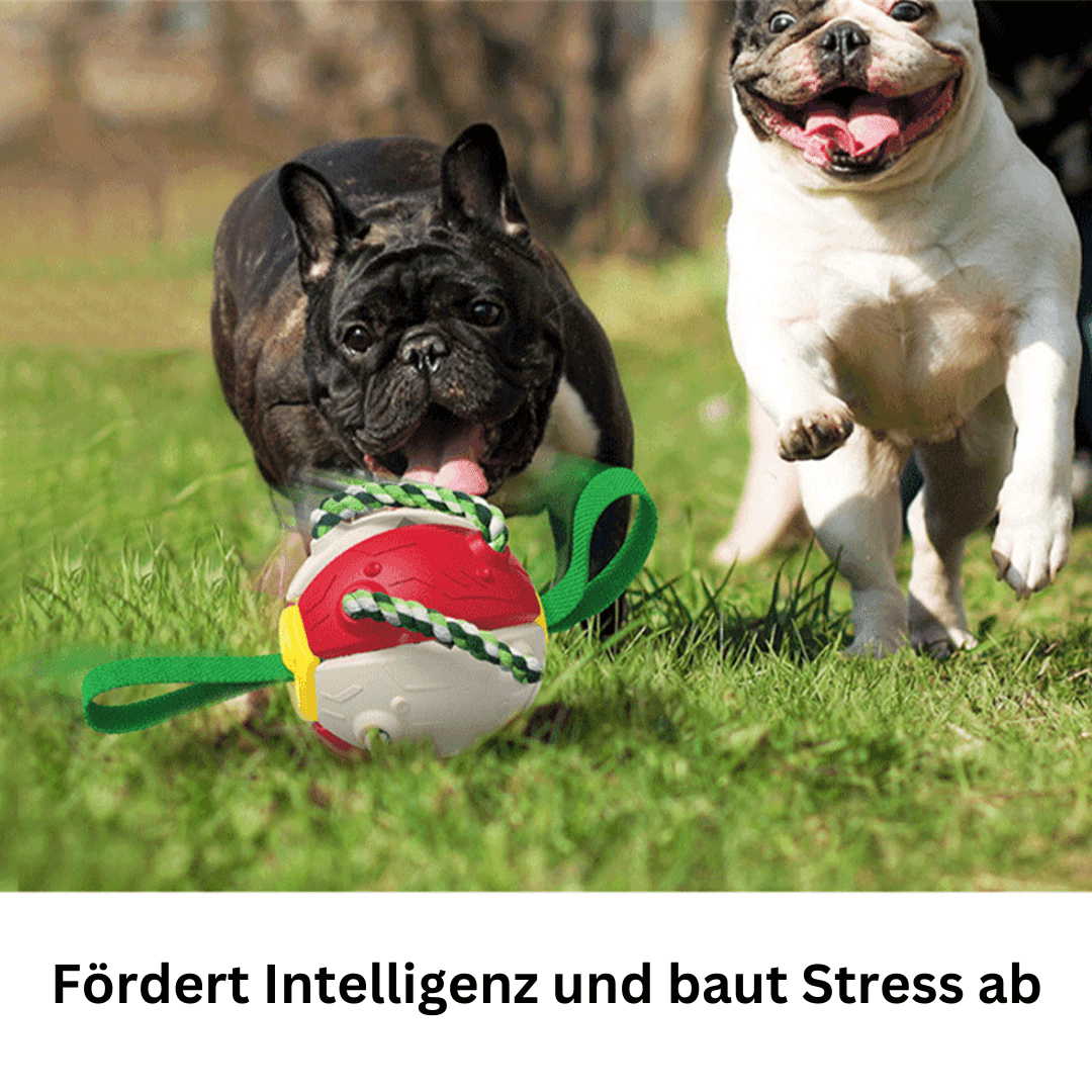 Hundespielzeug 2in1 Frisbee Ball robust TRENDMOPS FUNNYFRISBALL - Trendmops
