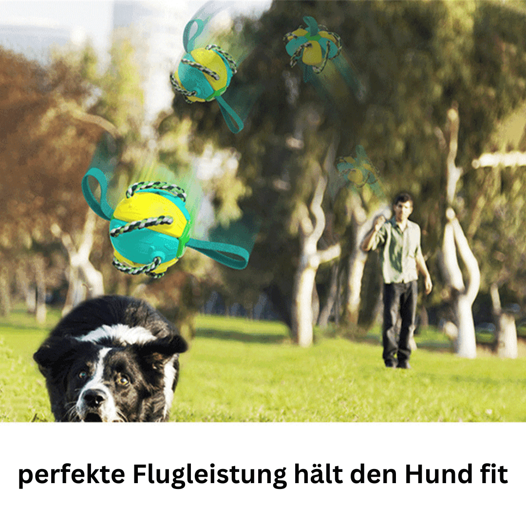Hundespielzeug 2in1 Frisbee Ball robust TRENDMOPS FUNNYFRISBALL - Trendmops