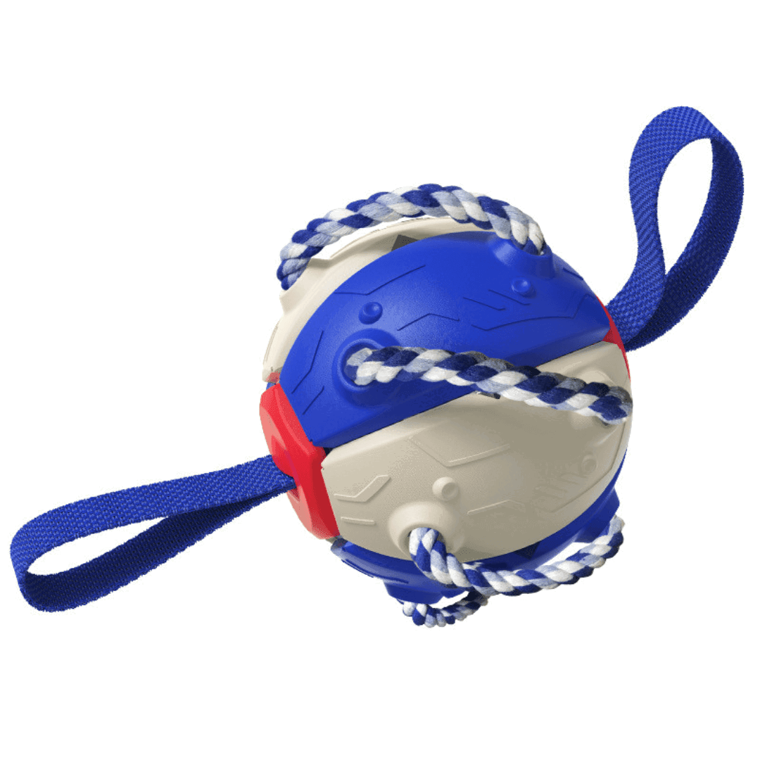 Hundespielzeug 2in1 Frisbee Ball robust TRENDMOPS FUNNYFRISBALL - Trendmops