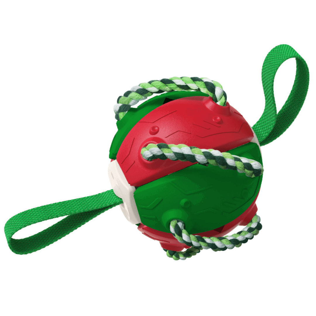 Hundespielzeug 2in1 Frisbee Ball robust TRENDMOPS FUNNYFRISBALL - Trendmops