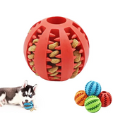 Hundespielzeug Snacks Ball Beschäftigung TRENDMOPS SNACKBALL - Trendmops