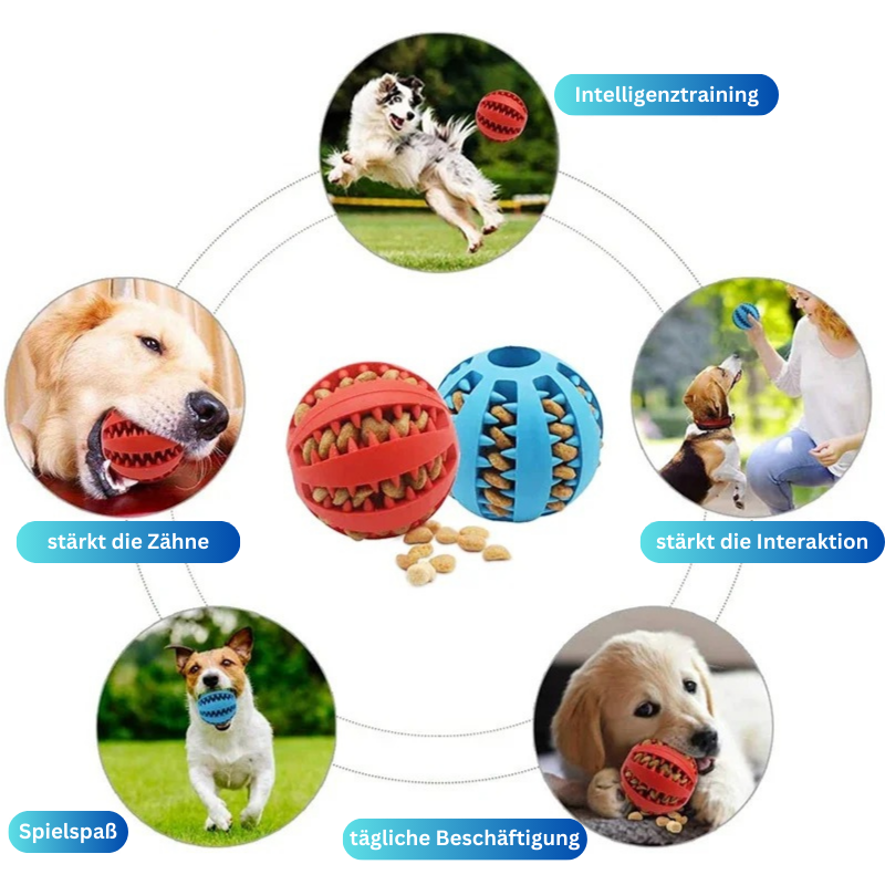 Hundespielzeug Snacks Ball Beschäftigung TRENDMOPS SNACKBALL - Trendmops