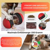 Hundespielzeug Snacks Beschäftigung TRENDMOPS FUNSNACKER - Trendmops