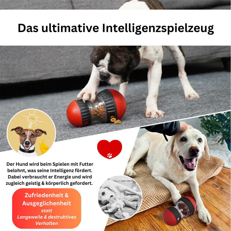 Hundespielzeug Snacks Beschäftigung TRENDMOPS FUNSNACKER - Trendmops