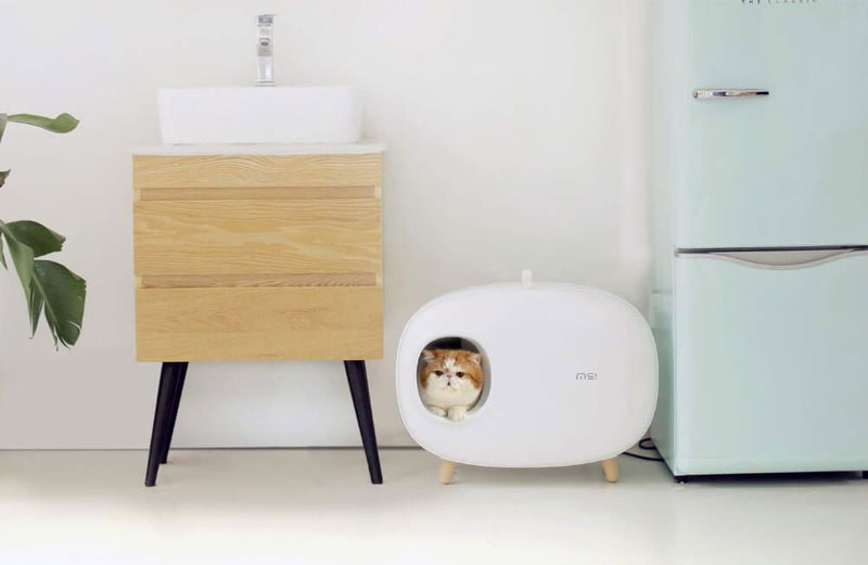 Katzenklo Katzentoilette Luxus Holzfuß TRENDMOPS CLEANYKITTEN - Trendmops