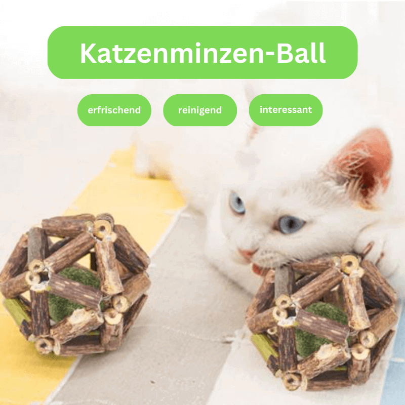 Katzenminze Katzenspielzeug Holz TRENDMOPS KITTYCATMINT - Trendmops