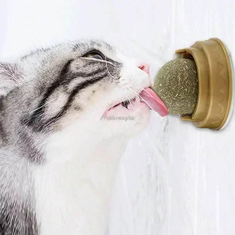 Katzenminze Schlecken Verdauung Zahnpflege TRENDMOPS SCHLECKERLINI - Trendmops