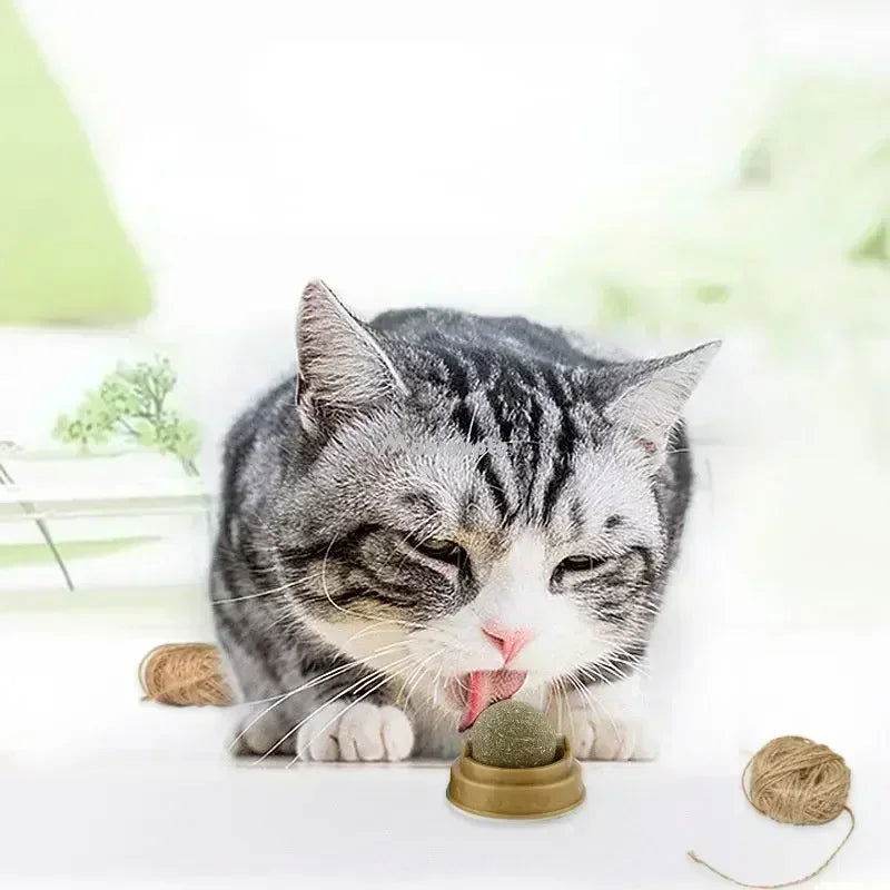 Katzenminze Schlecken Verdauung Zahnpflege TRENDMOPS SCHLECKERLINI - Trendmops