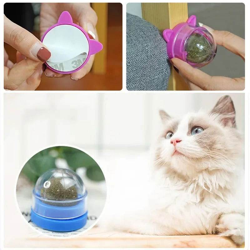 Katzenminze Schlecken Verdauung Zahnpflege TRENDMOPS SCHLECKERLINI - Trendmops
