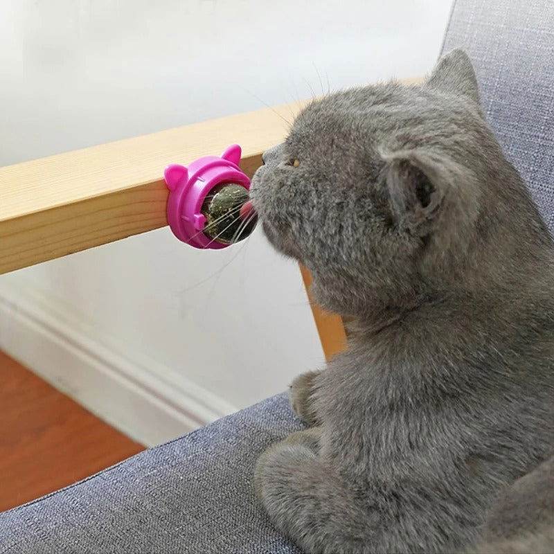 Katzenminze Schlecken Verdauung Zahnpflege TRENDMOPS SCHLECKERLINI - Trendmops