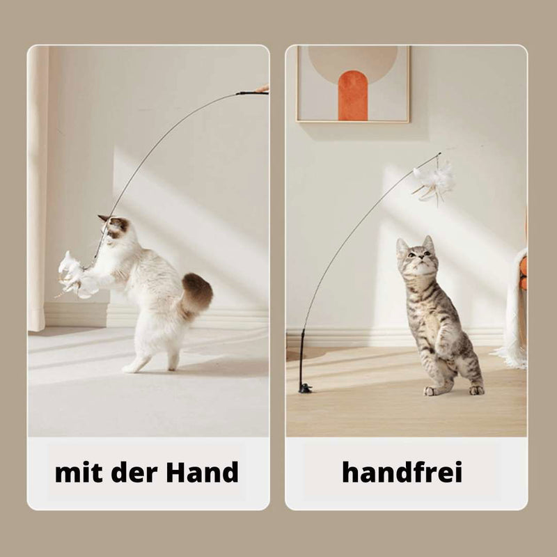 Katzenspielzeug handfrei Angel Saugnapf TRENDMOPS KITTYCATJOY - Trendmops