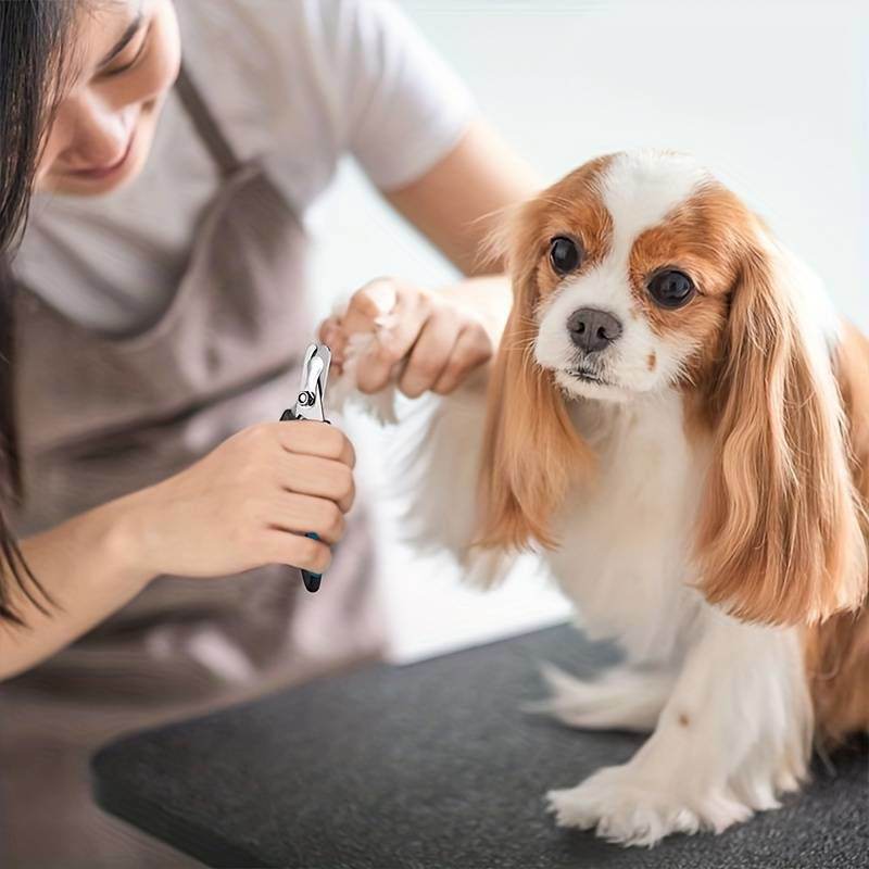 Krallenschere Hunde Katzen mit Feile TRENDMOPS CLIP4CLAWS - Trendmops