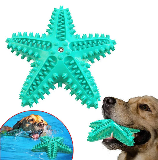 Hundespielzeug Kauspielzeug Seestern Hund Wasser Zähne TRENDMOPS CHEWYSEASTAR