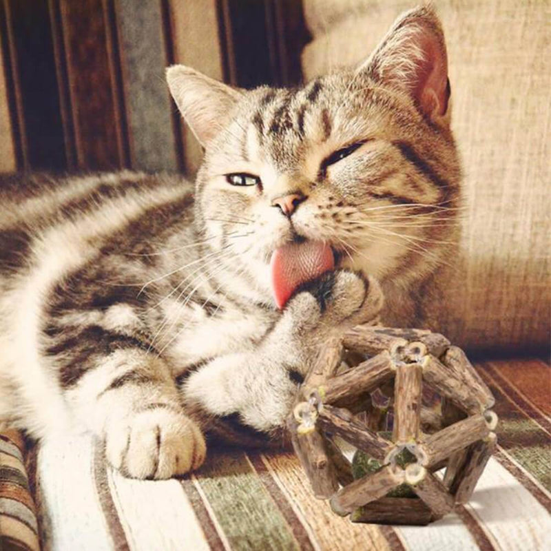 KITTYCATMINT - trendiges Spielzeug mit Katzenminze, regt an & entspannt