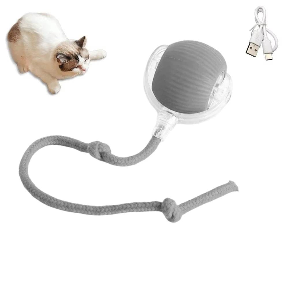 Interaktives Katzenspielzeug Ball Beschäftigung USB TRENDMOPS INTELLYCATCH - Trendmops