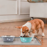 TRENDMOPS SNACKWELL - Rutschfeste Hundeschüsseln: Für kleine, mittlere und große Hunde, Edelstahl-Futternäpfe und Trinkbehälter,