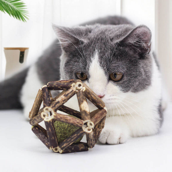 TRENDMOPS KITTYCATMINT - Katzenspielzeug mit Katzenminze: Holzspielzeug für entspannte Momente
