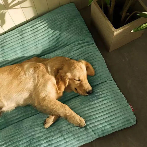 TRENDMOPS TRAUMTATZE - Kuscheliges Hundebett aus weichem Cordstoff und abnehmbarem Bezug