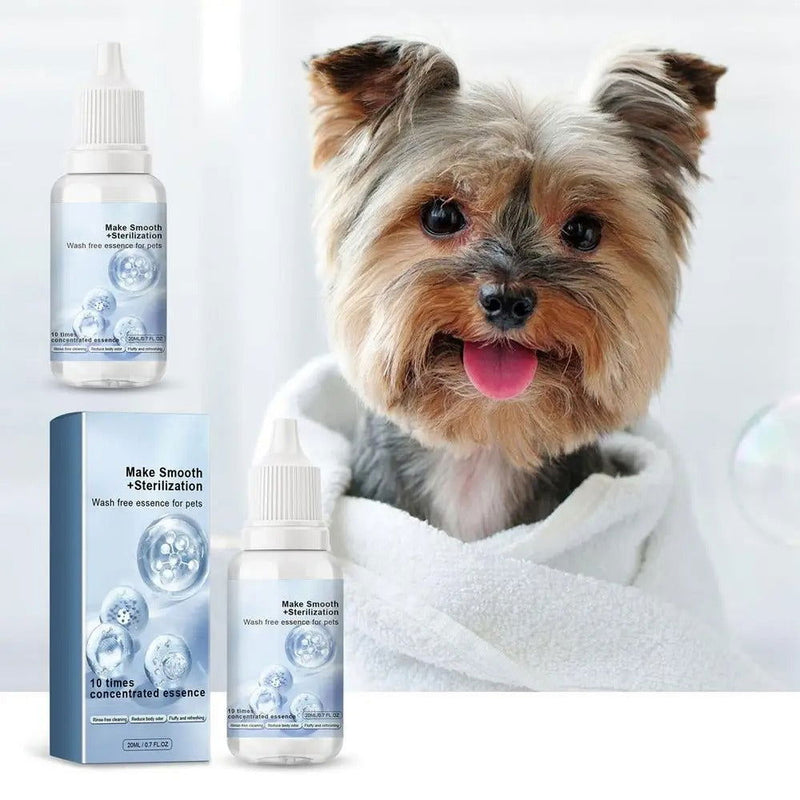 Trockenshampoo Shampoo Hunde Katzen TRENDMOPS LAVENDOPET - Trendmops