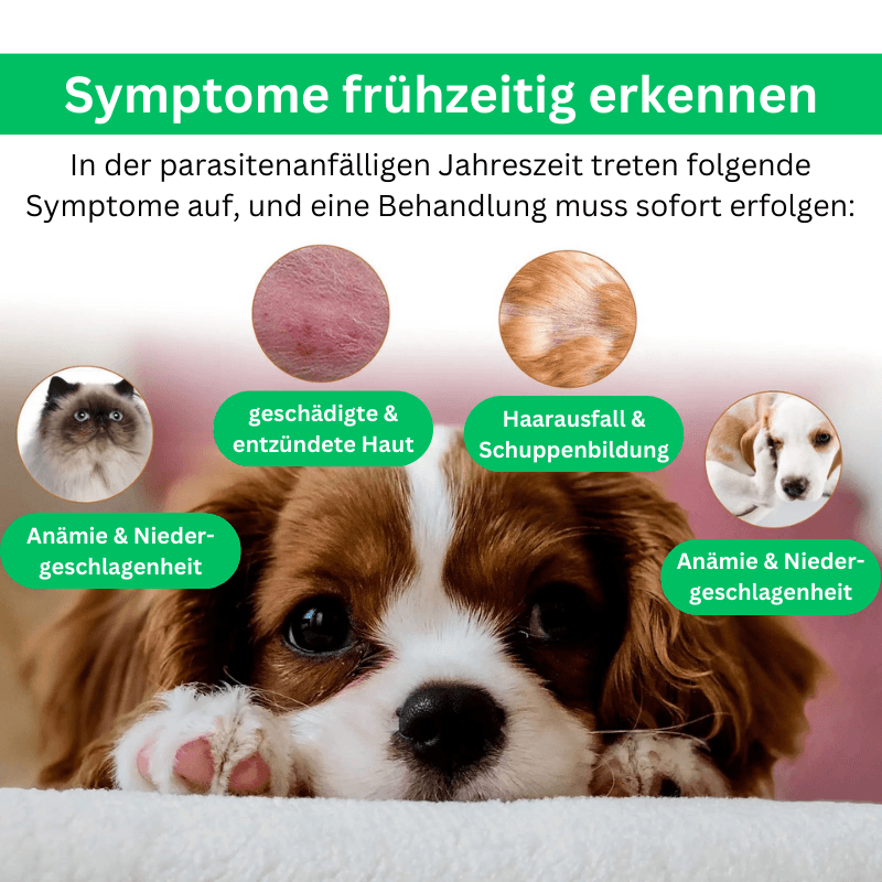 Spray Zecken Flöhe Hunde Katzen TRENDMOPS FELLPURA - Trendmops