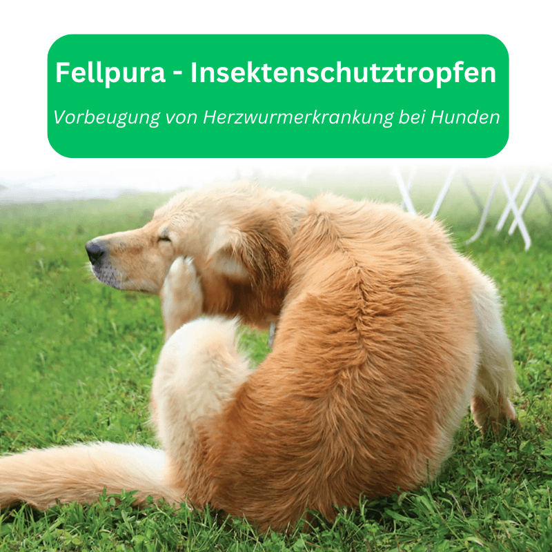 Spray Zecken Flöhe Hunde Katzen TRENDMOPS FELLPURA - Trendmops