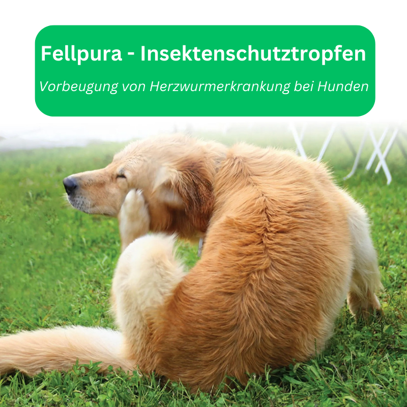 Tropfen Zecken Flöhe Hunde Katzen TRENDMOPS FELLPURA - Trendmops