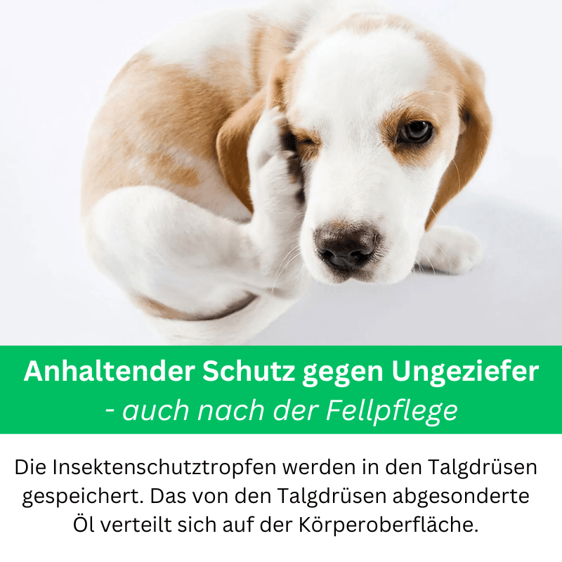 Spray Zecken Flöhe Hunde Katzen TRENDMOPS FELLPURA - Trendmops