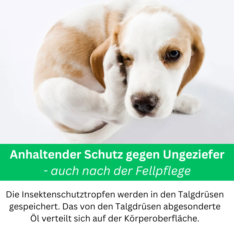 Tropfen Zecken Flöhe Hunde Katzen TRENDMOPS FELLPURA - Trendmops