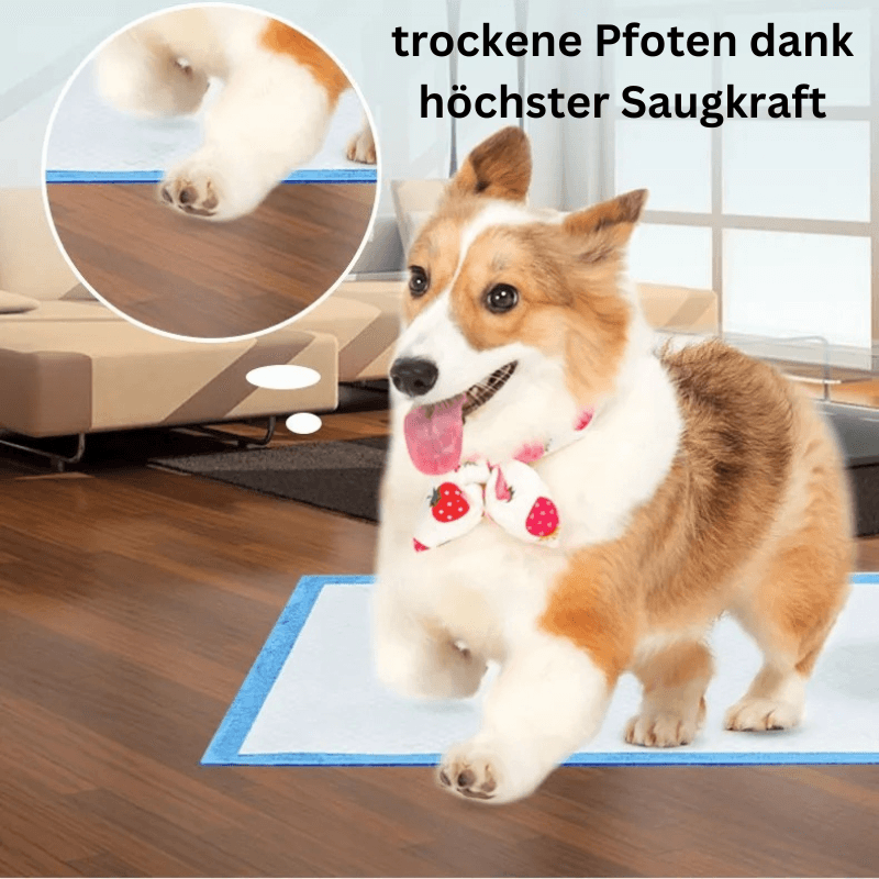 Hundewindeln Inkontinenz Hunde Welpen 6-lagig Urin TRENDMOPS NAPPYPAW - Trendmops
