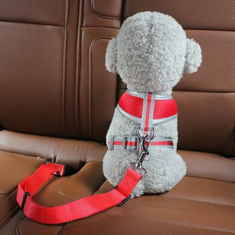 Hundegurt Sicherheitsgurt Anschnallgurt Auto Hund TRENDMOPS PROTECTANA