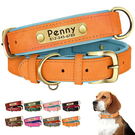 Hundehalsband Leder personalisiert Name TRENDMOPS MANDIAGO